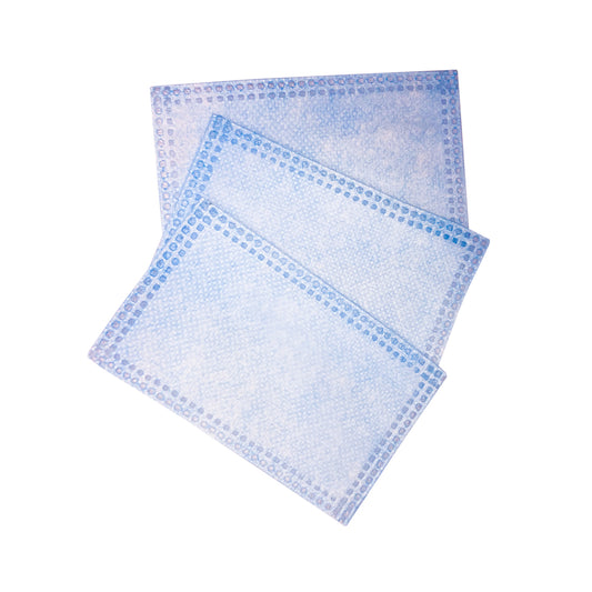 AEXIS Filter BFE 98% for Aexis Avant (10pcs per Pack)*